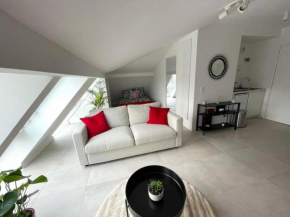 Merveilleux appartement parisien